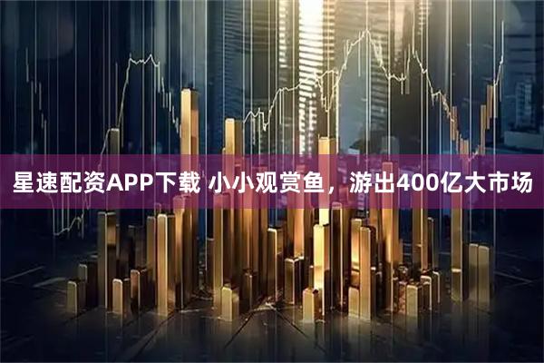 星速配资APP下载 小小观赏鱼，游出400亿大市场