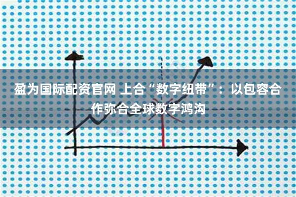 盈为国际配资官网 上合“数字纽带”:以包容合作弥合全球数字鸿沟
