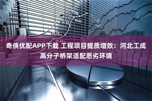 奇侠优配APP下载 工程项目提质增效：河北工成高分子桥架适配恶劣环境